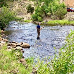 fishing estespark